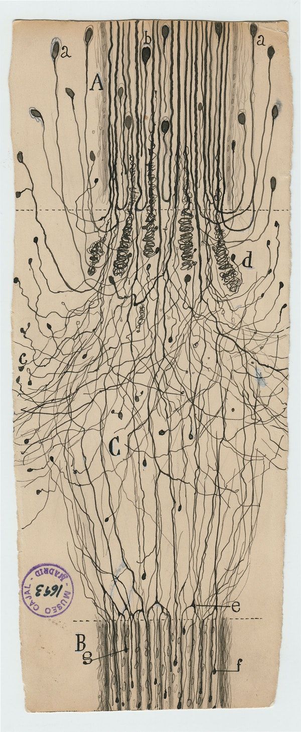 Collective Nervous System Lab: Building Resilience in Turbulent Times