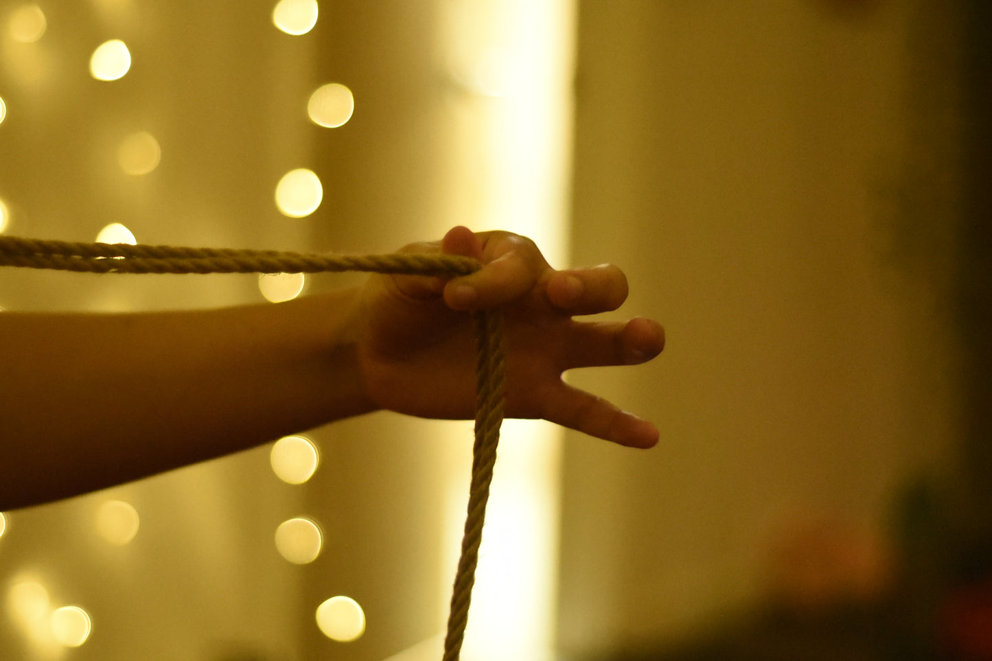 Bound to Rise: Shibari Rope Lab