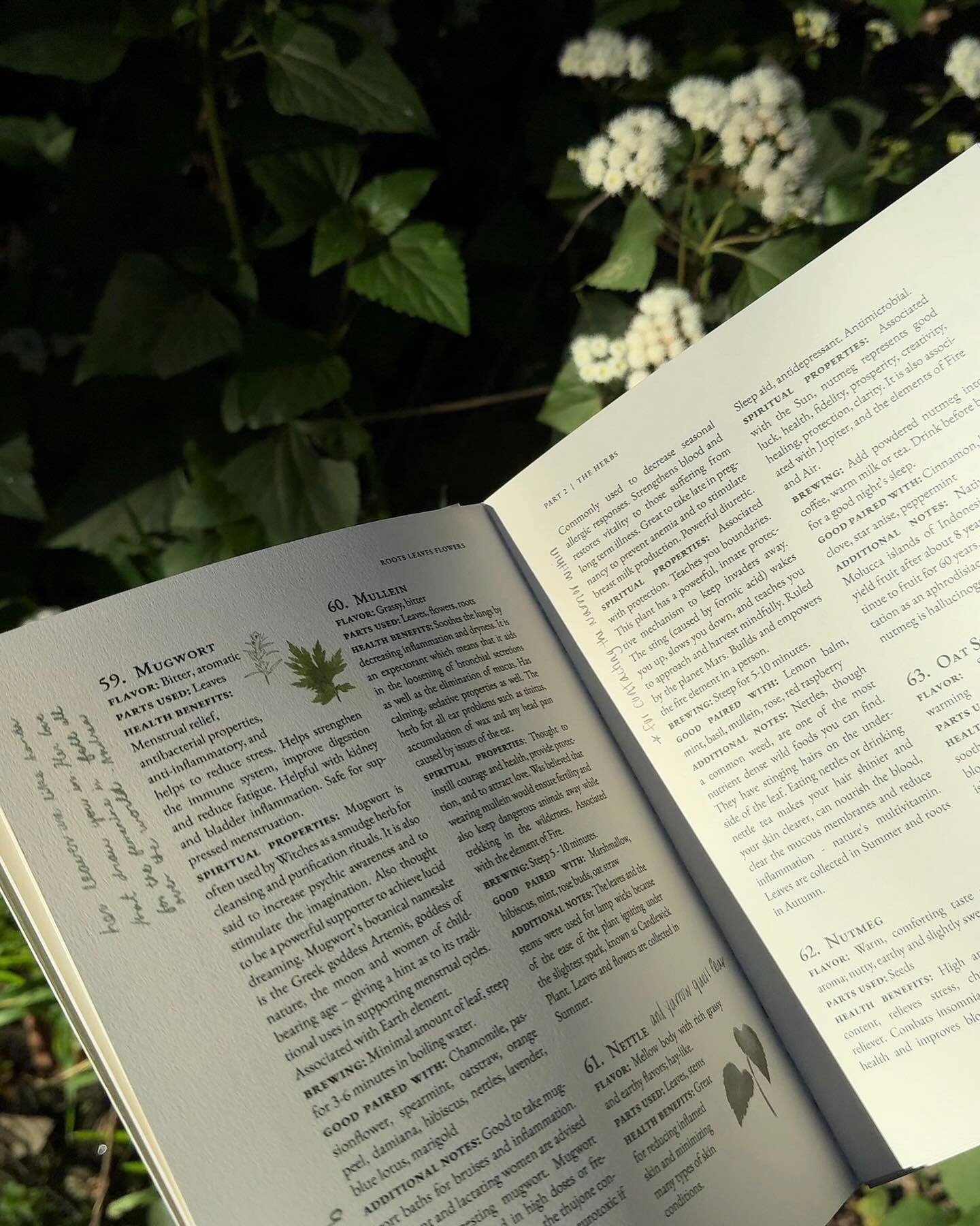 (Pre Order) Roots, Leaves, Flowers: Second Edition