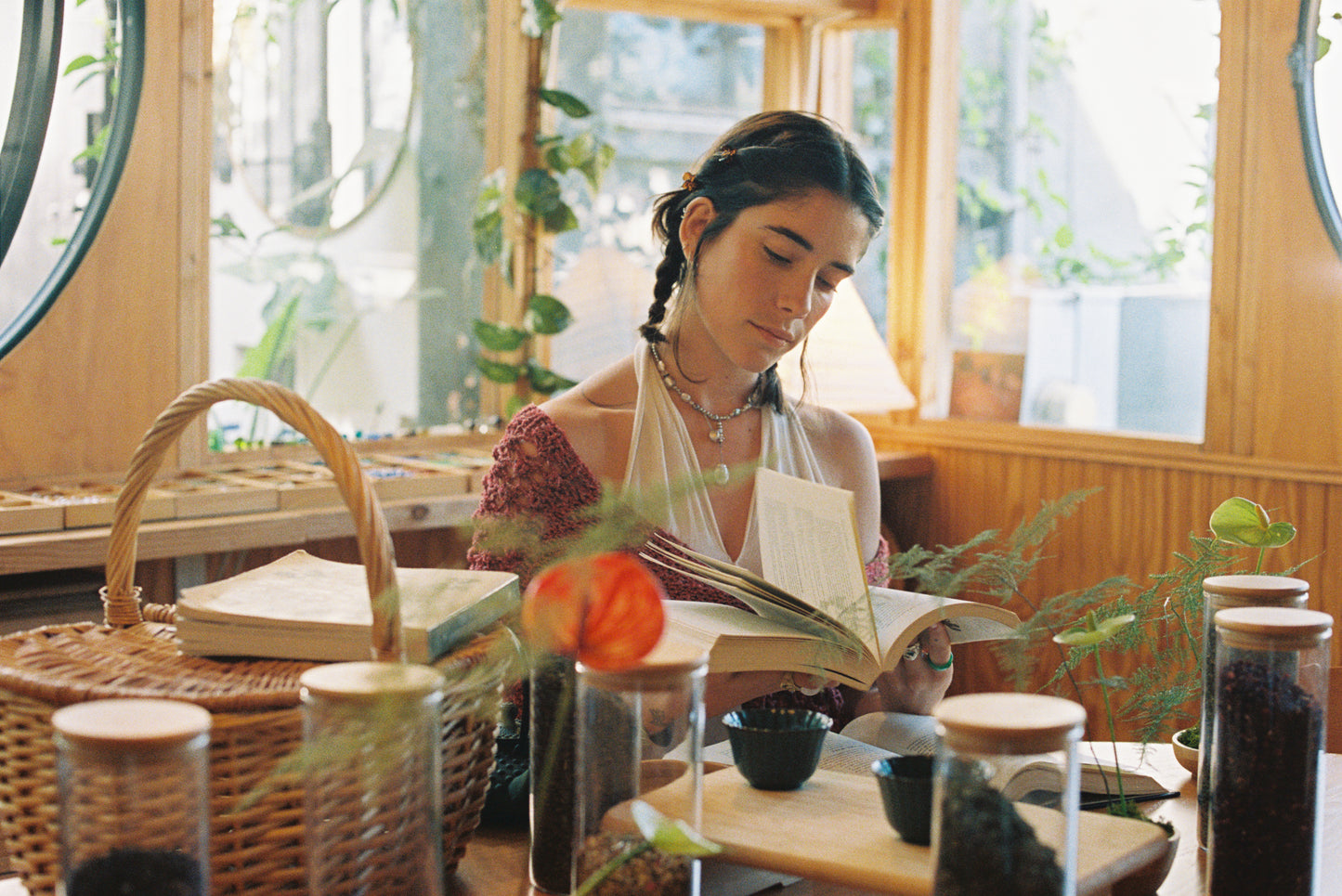 Holistic Herbal Consultations
