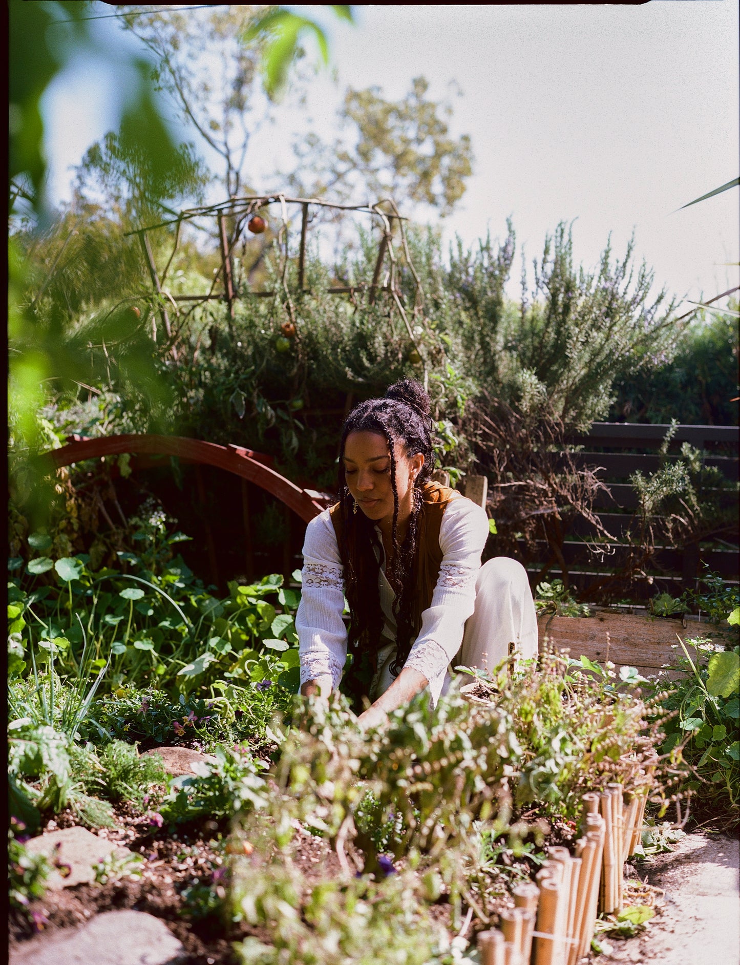Herbs for Cycles: Herbs, Foods, and Potions for the Menstrual Phase