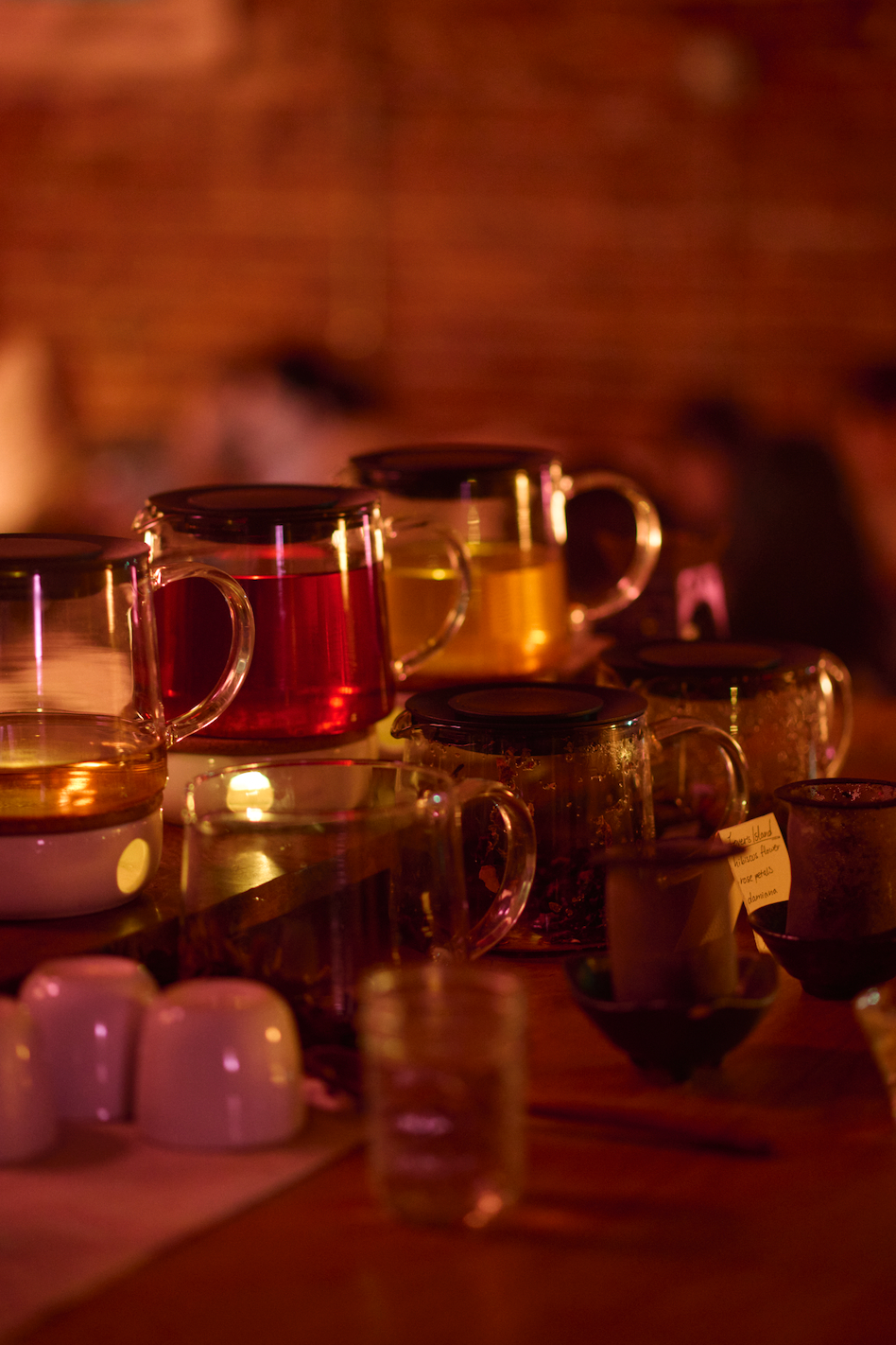 Journey into the Unconscious Mind for Internal Worlding: Hypnosis & Dream Herbs