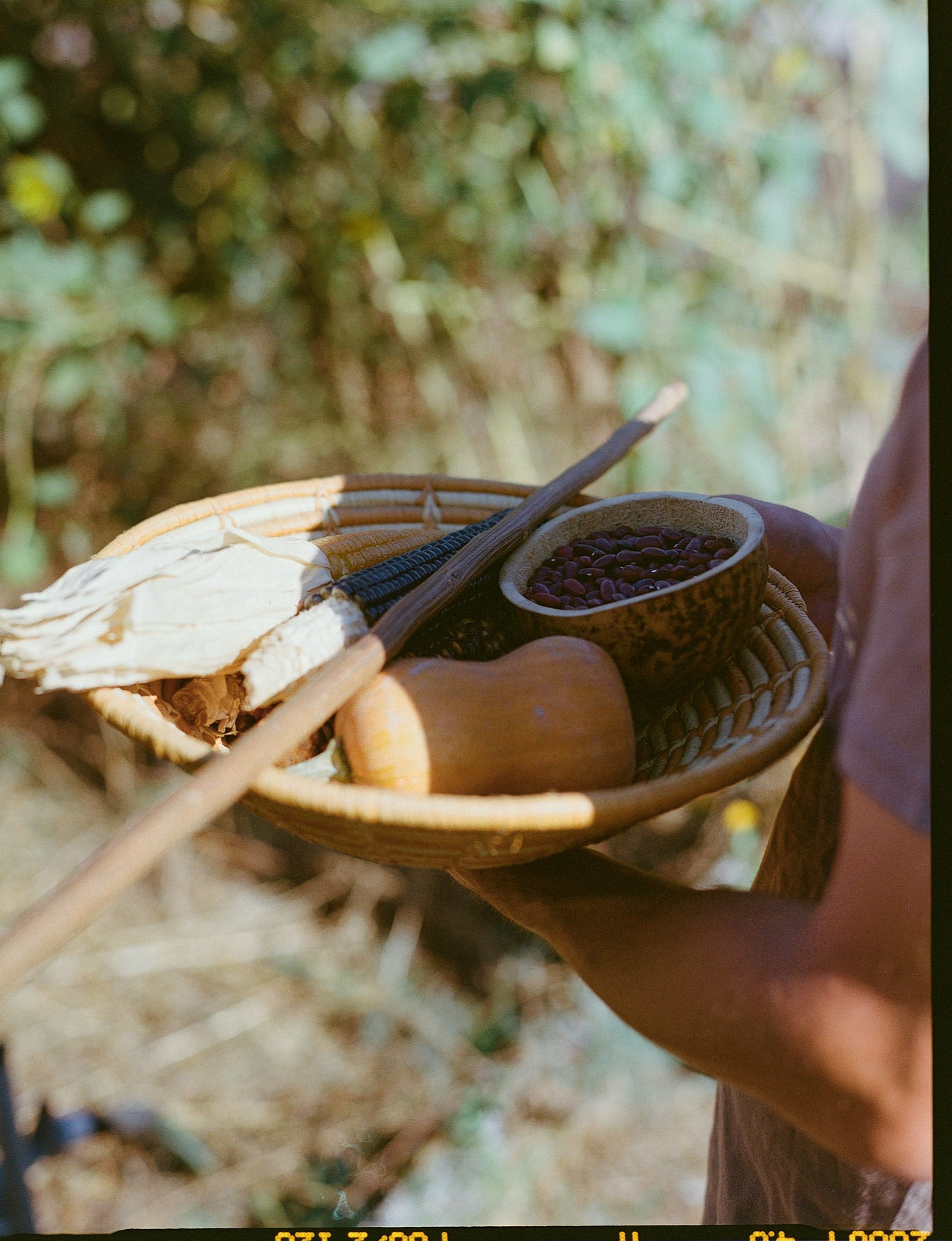 Spring Table: Wild Greens, Seasonal Foods & Renewal