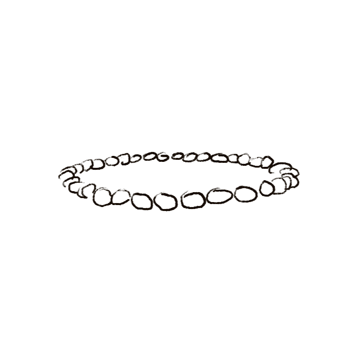 Community Women's Circle