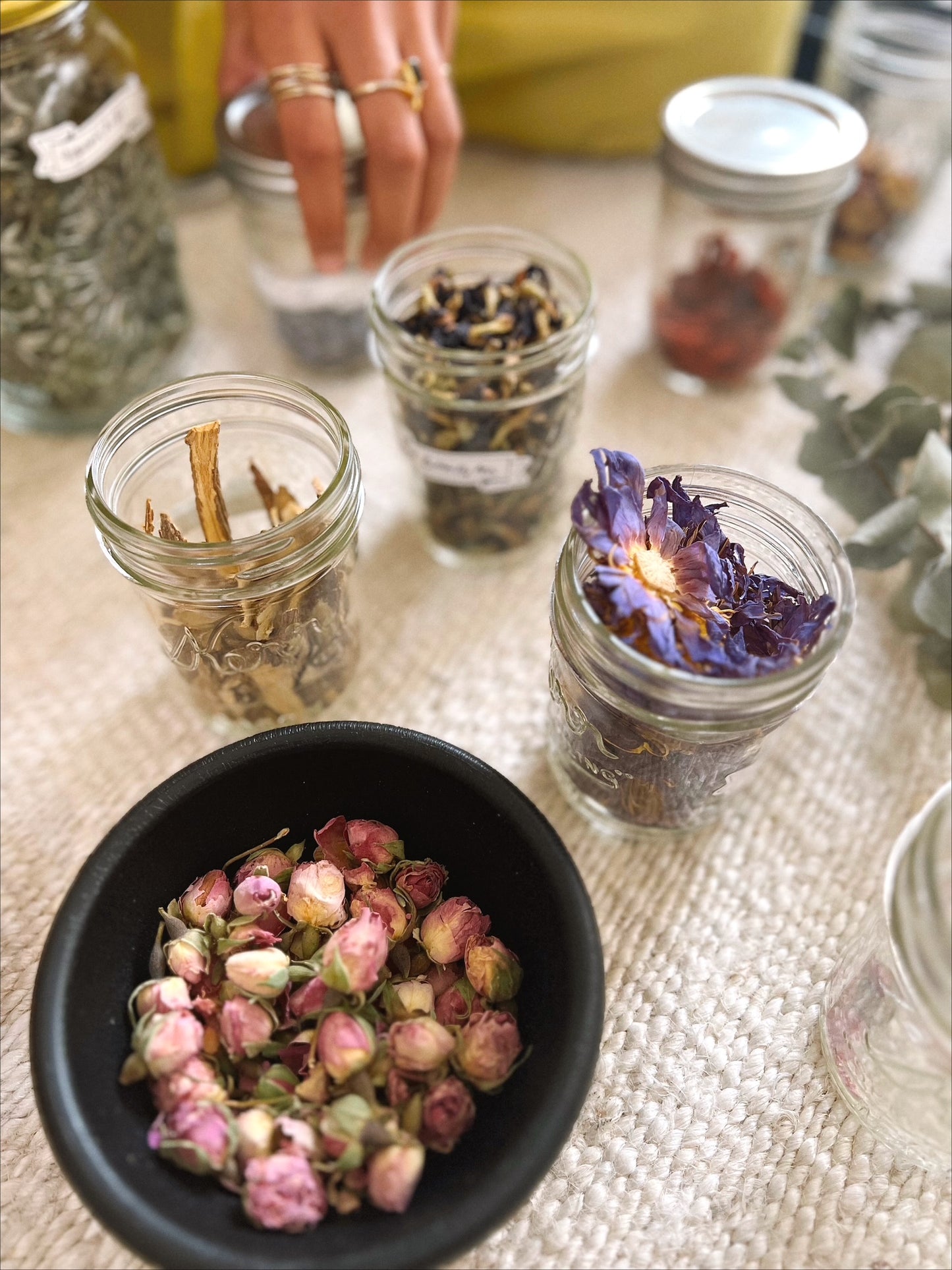 Herbal Alchemy for Balancing the Yin + Yang of Summer