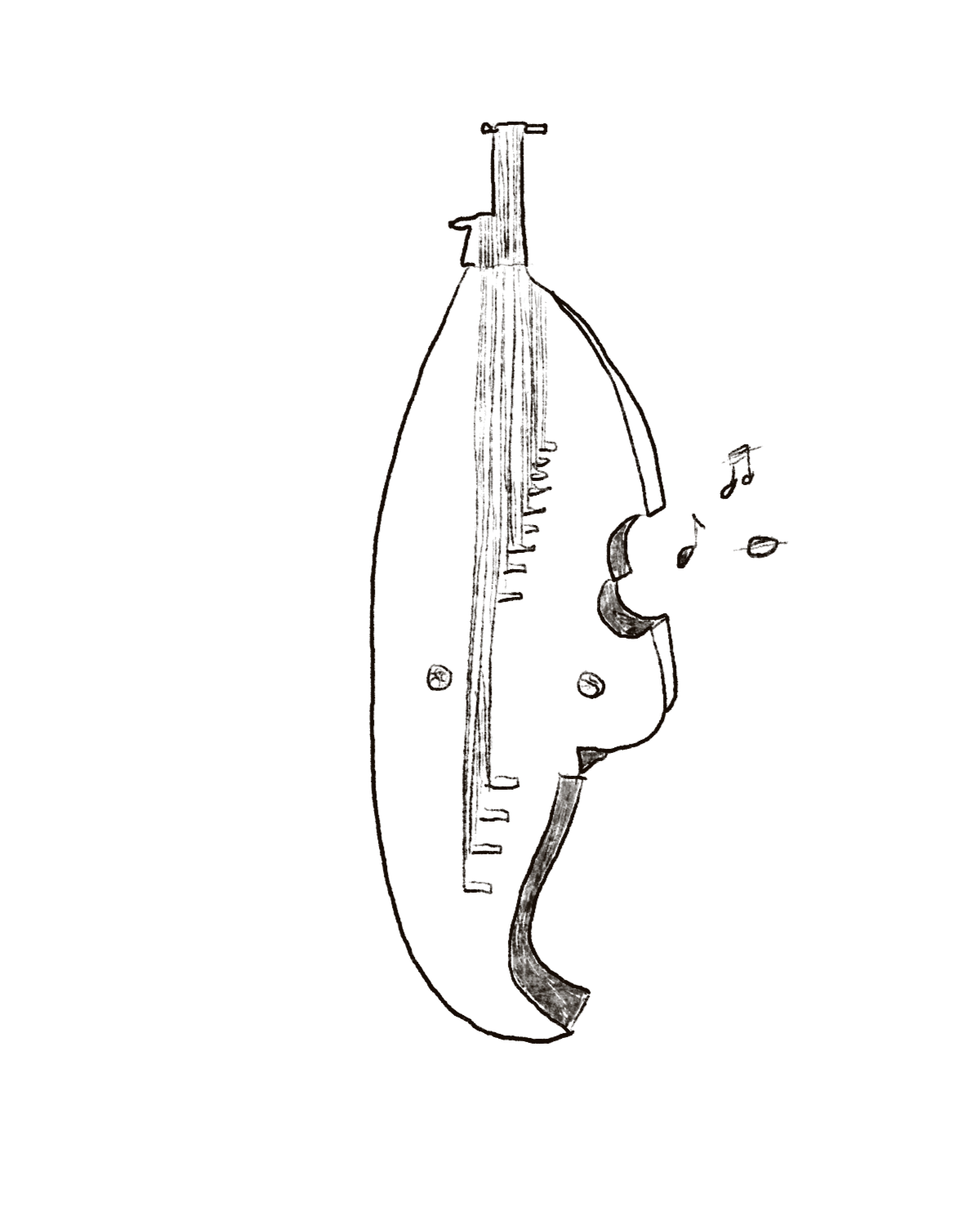 Enchanting Strings: A Night of Traditional Chinese Melodies