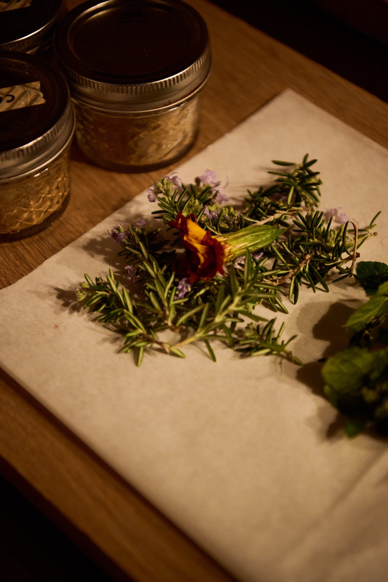 AstroHerbalism, Tarot, and Embodied Wisdom: A Mystery School Immersion 
