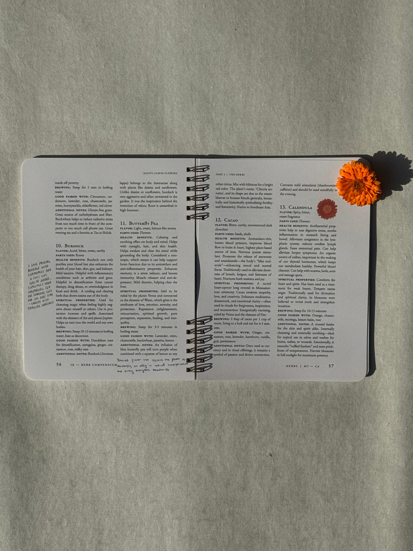 Roots, Leaves, Flowers: Second Edition