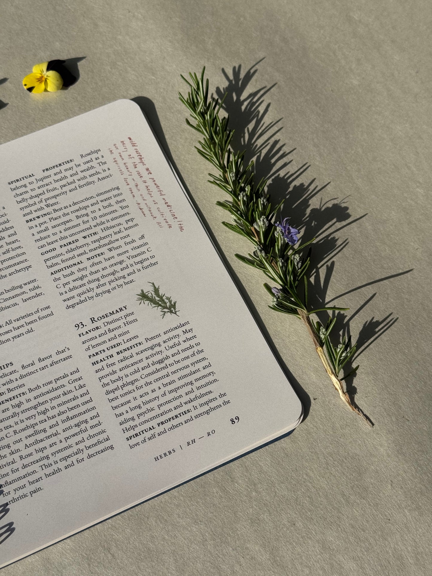 Roots, Leaves, Flowers: Second Edition