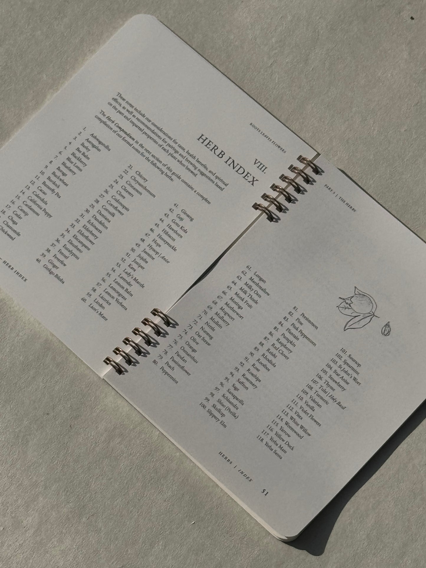 Roots, Leaves, Flowers: Second Edition