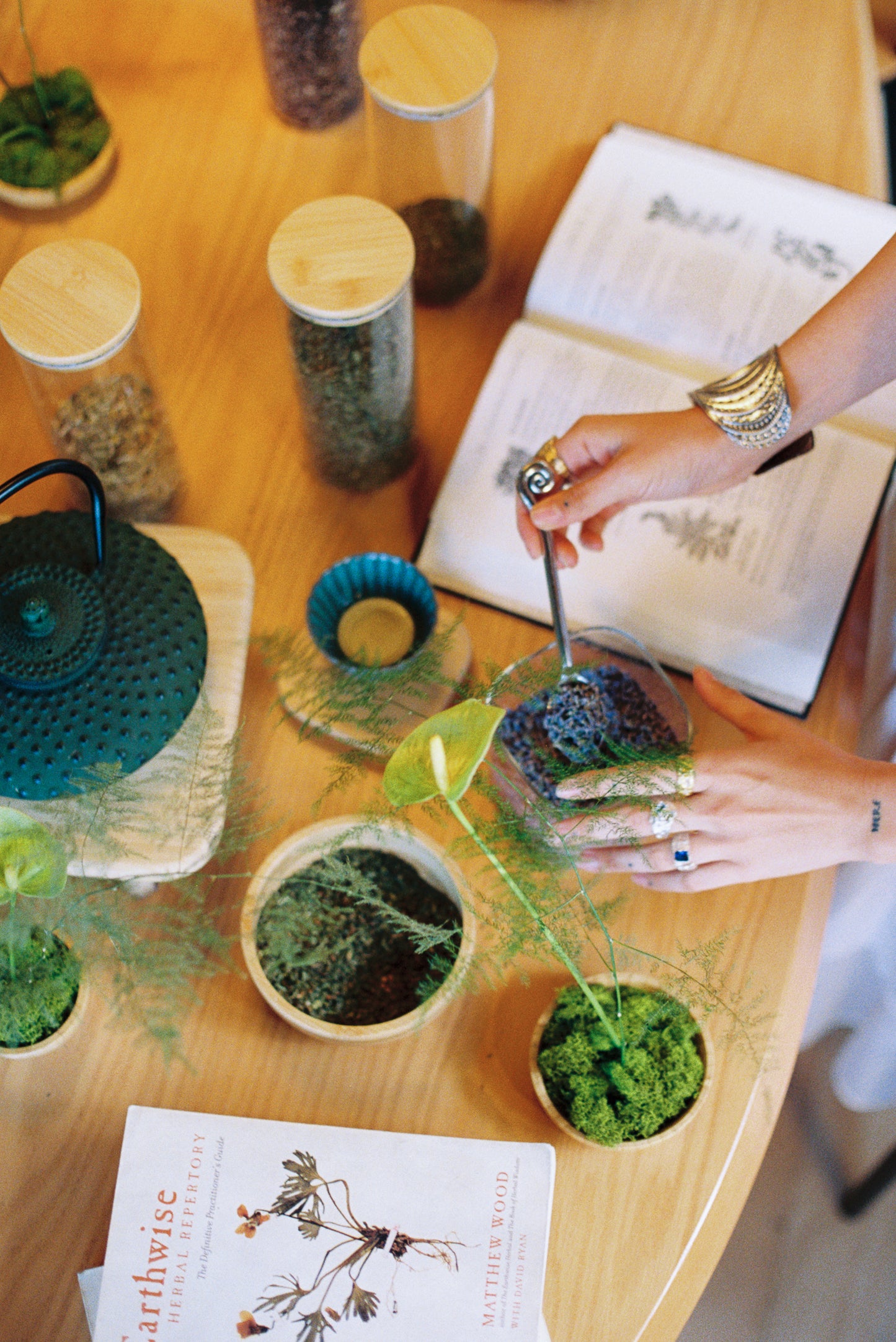 Holistic Herbal Consultations
