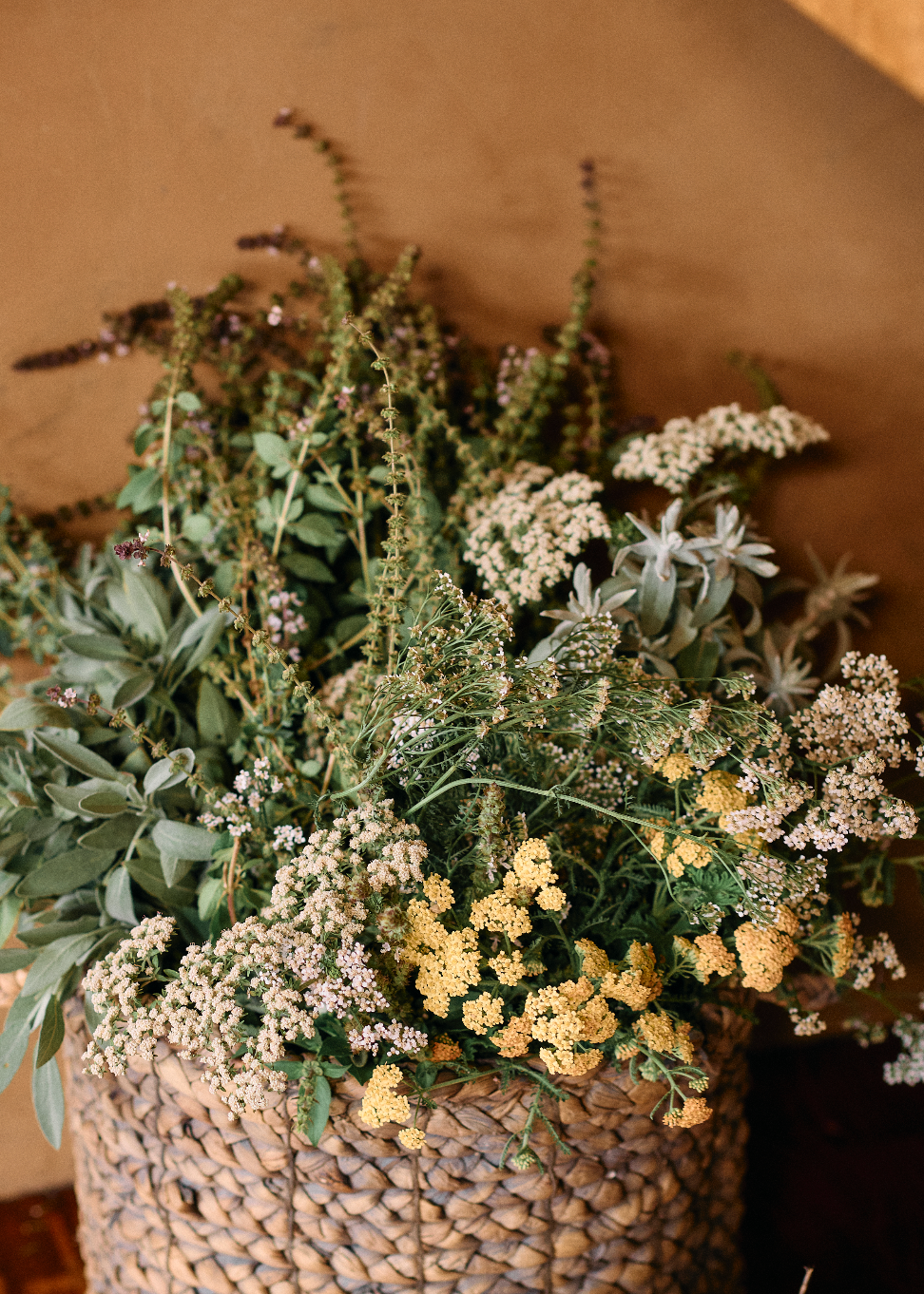 AstroHerbalism, Tarot, and Embodied Wisdom: A Mystery School Immersion 