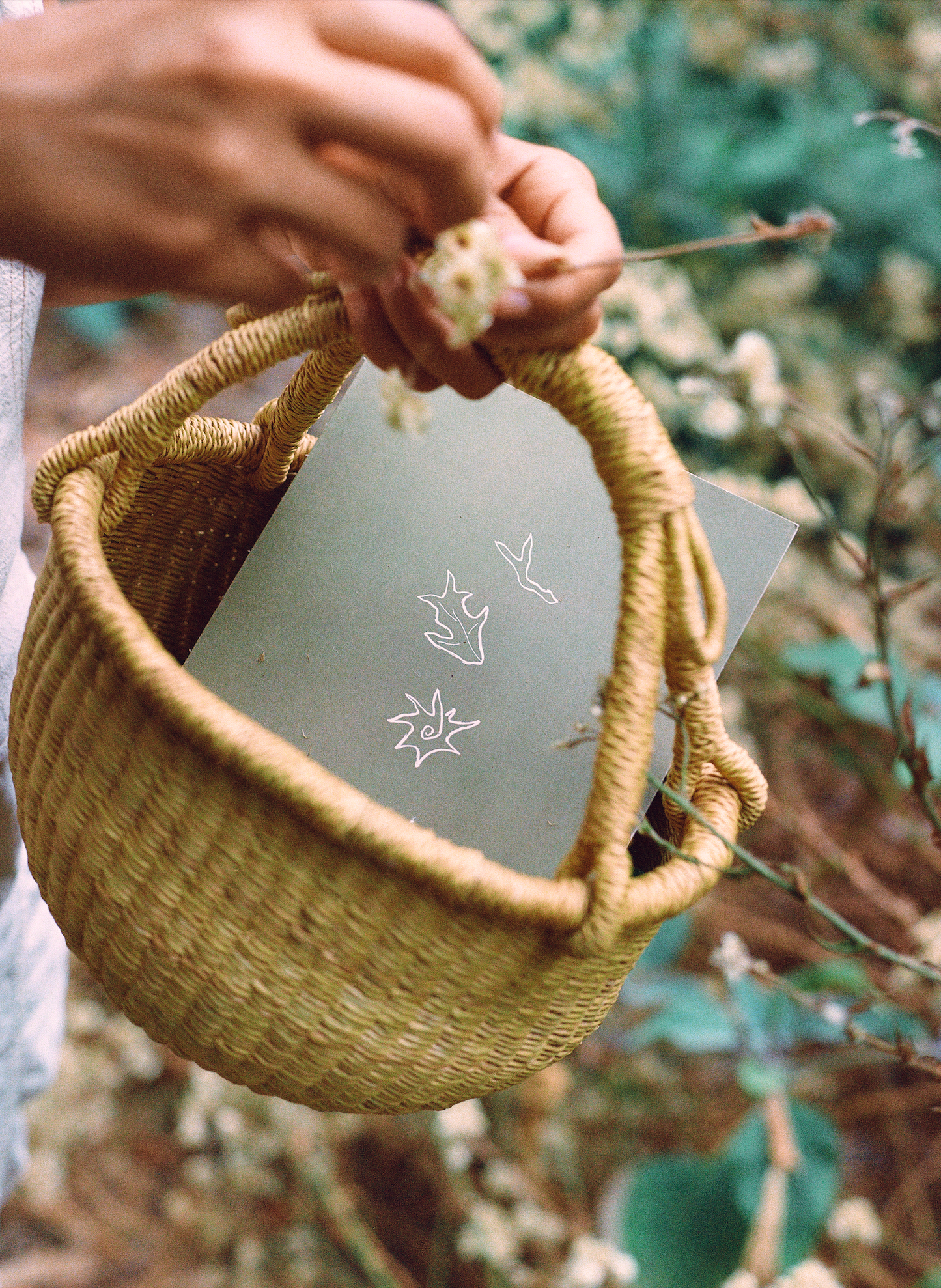 Roots, Leaves, Flowers: 100 Herbs, Their Properties, & The Teas We Make of Them