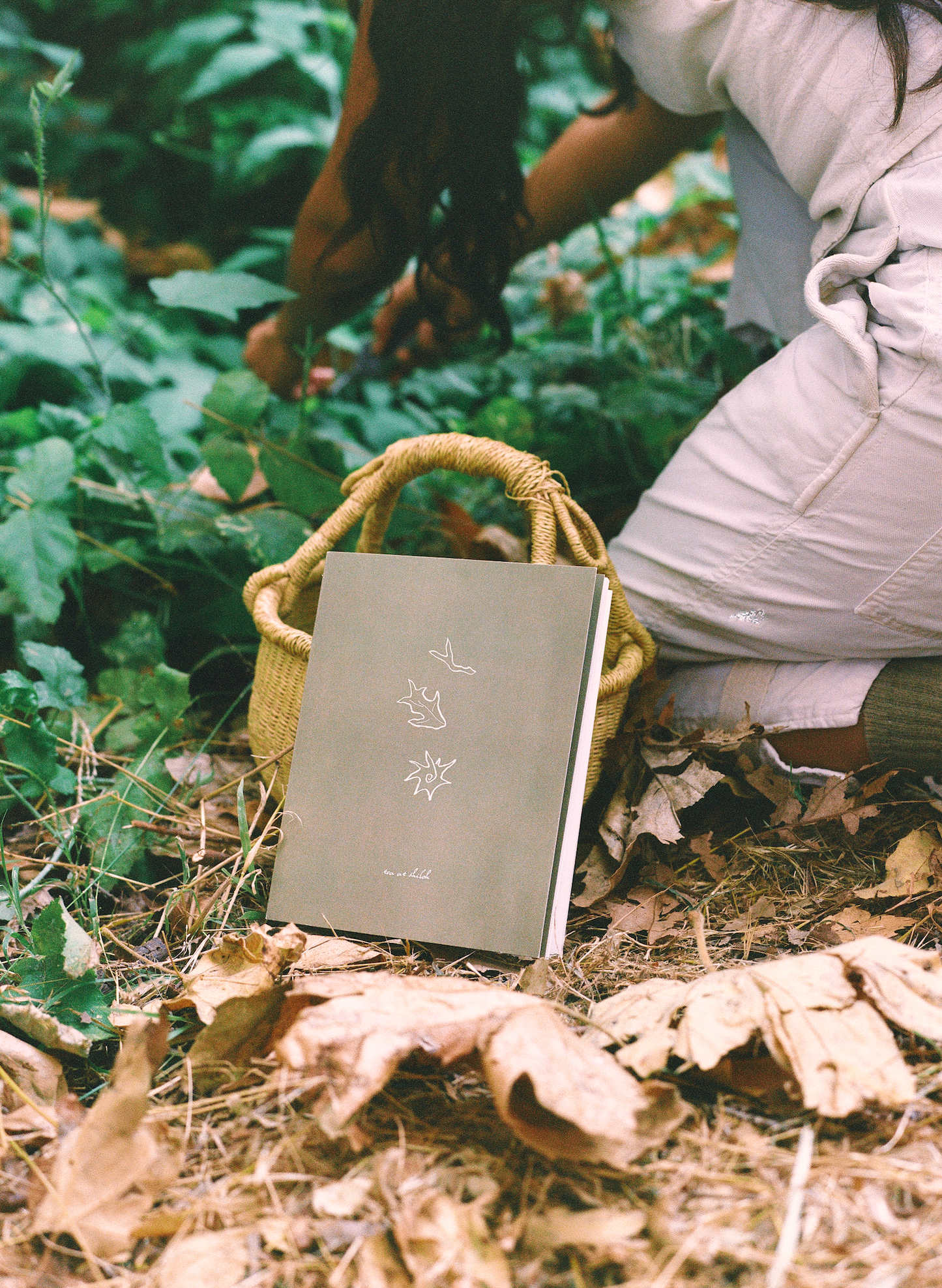 Roots, Leaves, Flowers: 100 Herbs, Their Properties, & The Teas We Make of Them