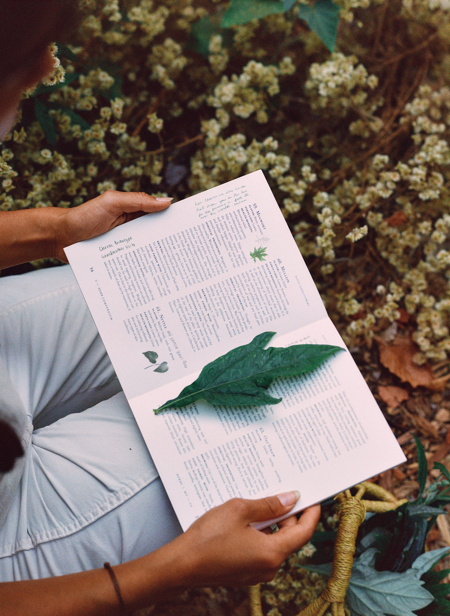 Roots, Leaves, Flowers: 100 Herbs, Their Properties, & The Teas We Make of Them