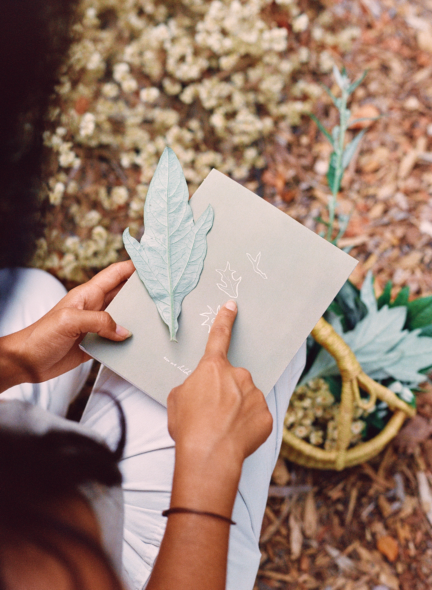 Roots, Leaves, Flowers: 100 Herbs, Their Properties, & The Teas We Make of Them