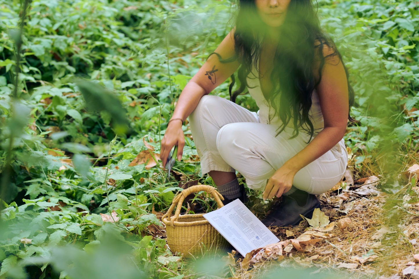 Roots, Leaves, Flowers: 100 Herbs, Their Properties, & The Teas We Make of Them