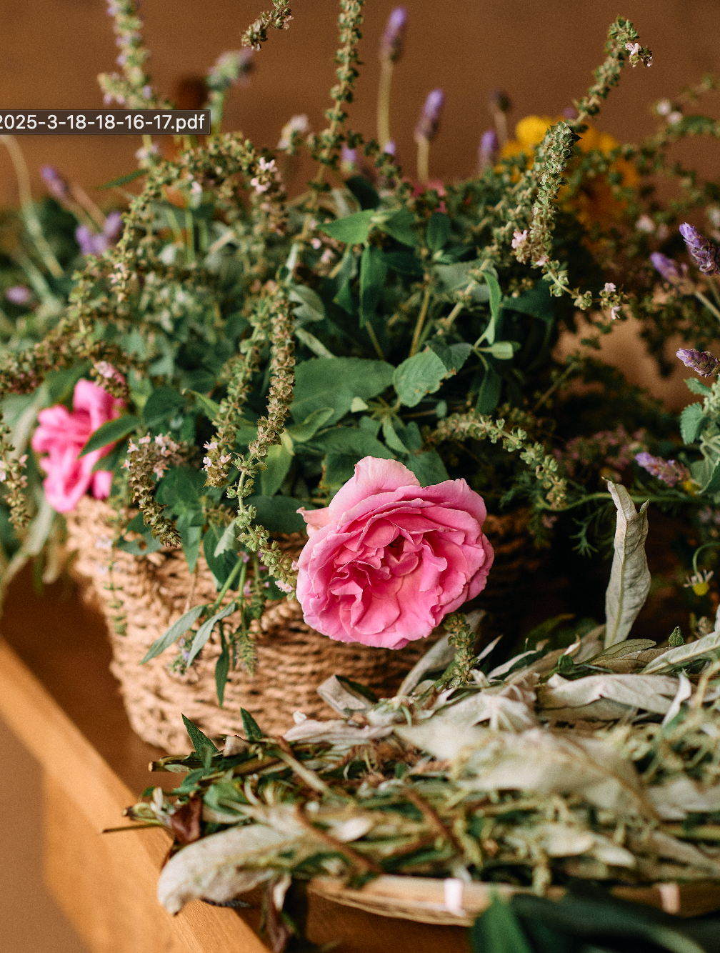 Wild Garden & Way: Berry Basket Weaving