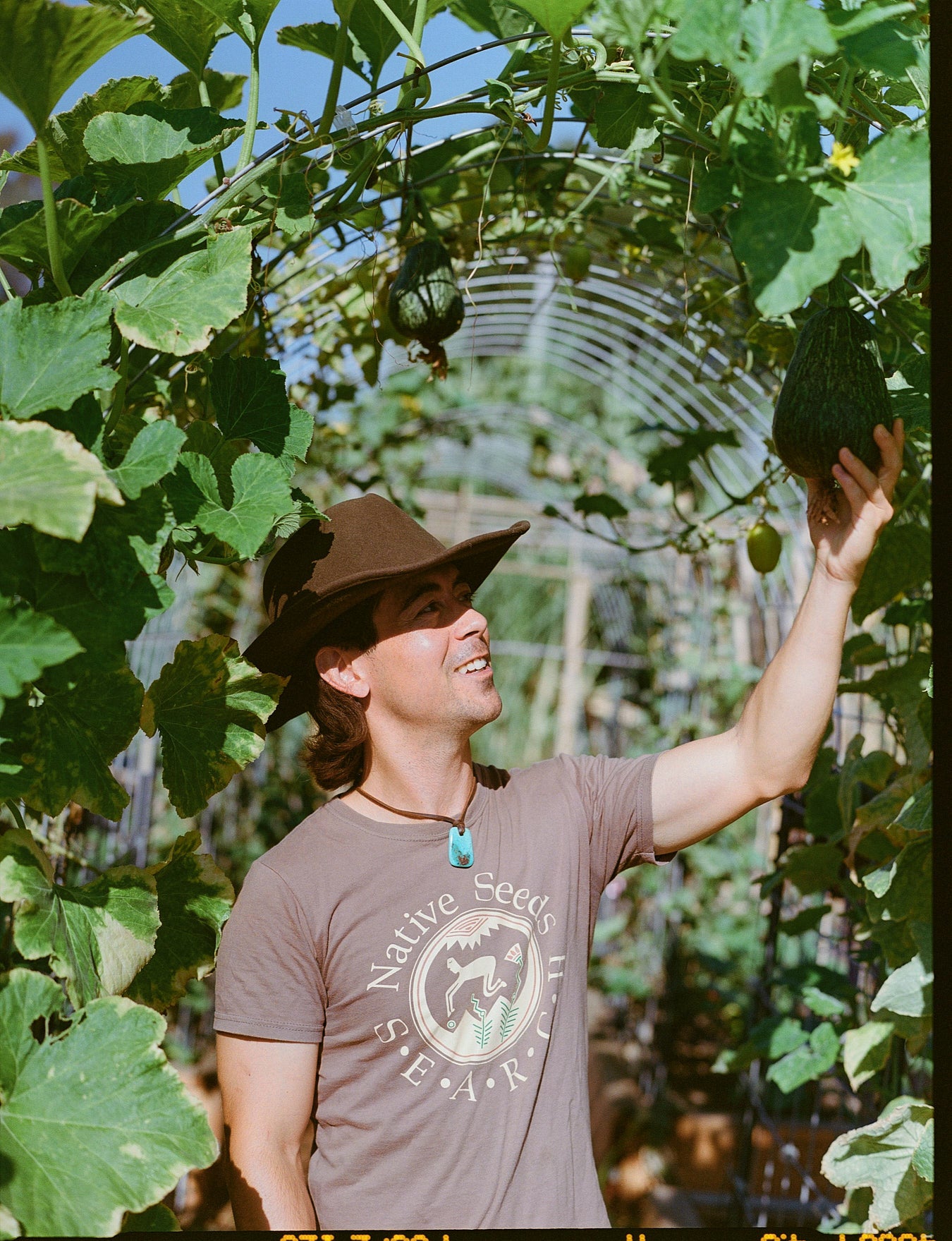 Spring Table: Wild Greens, Seasonal Foods & Renewal