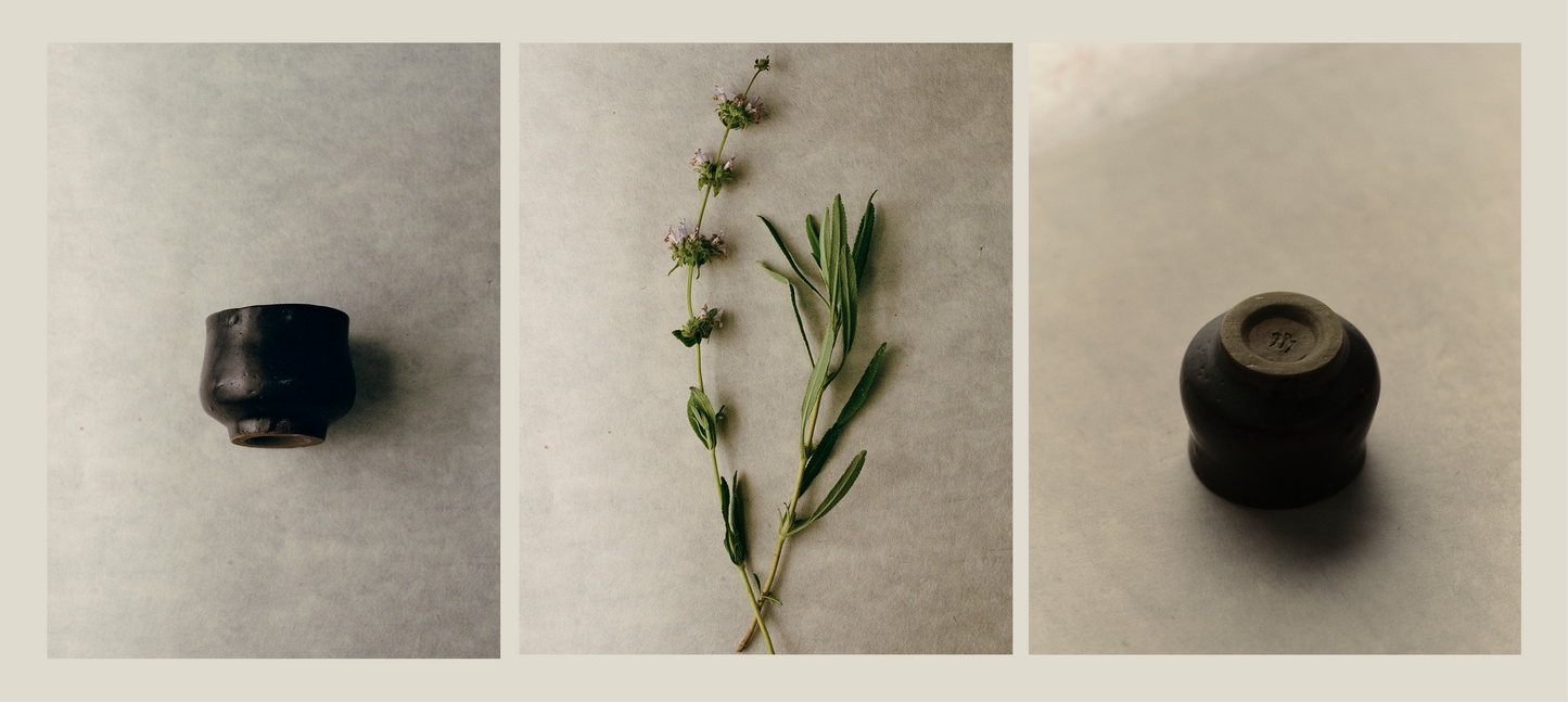 Sage Ceramic Collection