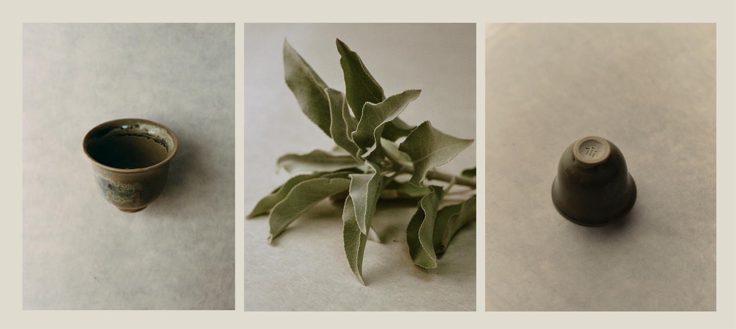 Sage Ceramic Collection